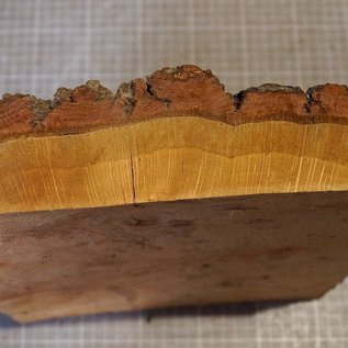 Oak burl, approx. 290 x 260 x 40 mm, 2,9 kg