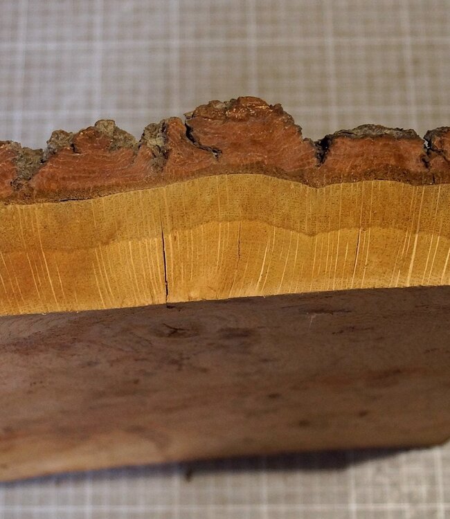 Eiche Maser, ca. 290 x 260 x 40 mm, 2,9 kg