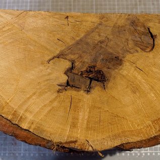 Oak burl, approx. 335 x 225 x 170/70 mm, 8,5 kg