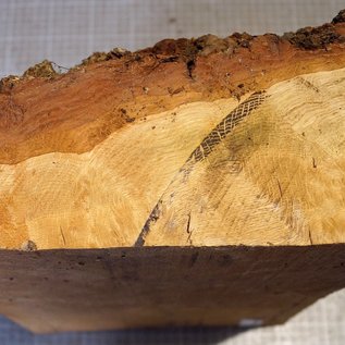 Oak burl, approx. 335 x 225 x 170/70 mm, 8,5 kg