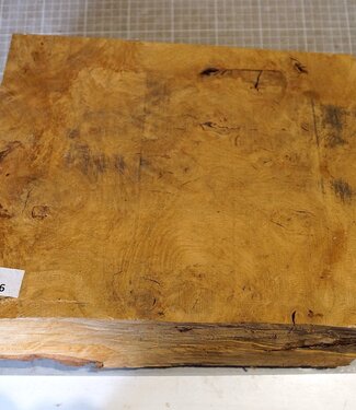 Oak burl, approx. 320 x 270 x 140/80 mm, 8,3 kg