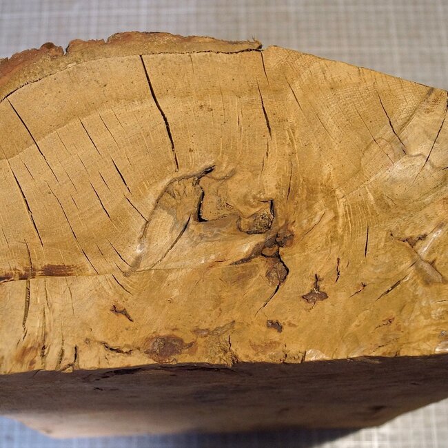 Eiche Maser, ca. 320 x 270 x 140/80 mm, 8,3 kg