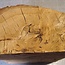 Oak burl, approx. 320 x 270 x 140/80 mm, 8,3 kg