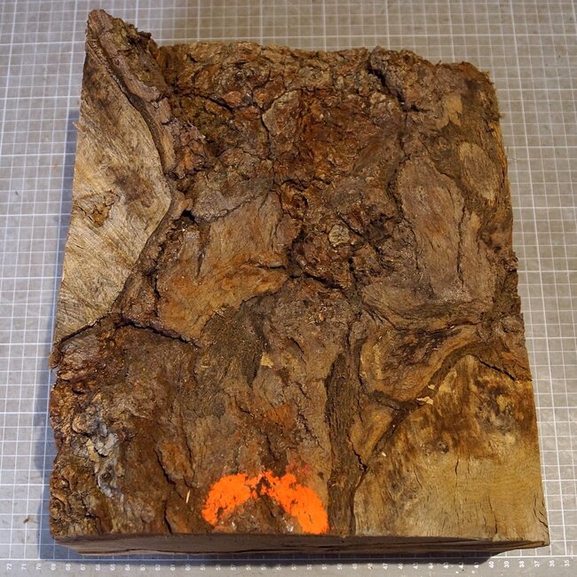 Oak burl, approx. 320 x 270 x 140/80 mm, 8,3 kg