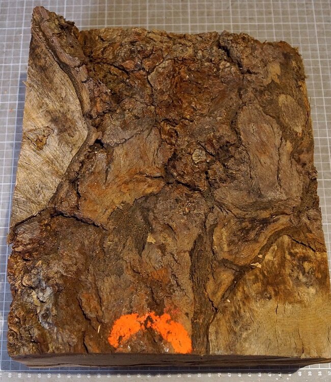 Oak burl, approx. 320 x 270 x 140/80 mm, 8,3 kg