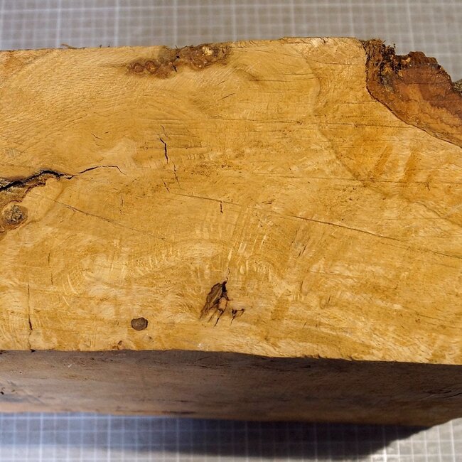 Oak burl, approx. 320 x 270 x 140/80 mm, 8,3 kg