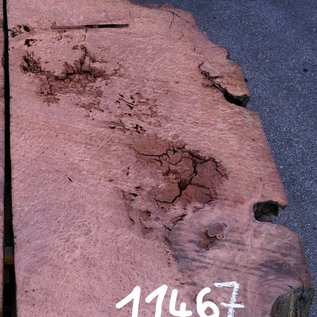 Redwood burl approx. 1400 x 560 x 70 mm, 11467