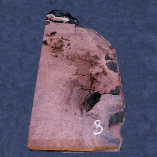 Redwood Maser ca. 1100 x 570 x 65 mm, 11469