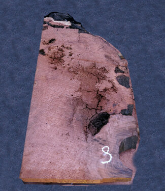 Redwood Maser ca. 1100 x 570 x 65 mm, 11469