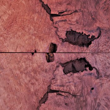 Burl plates & slabs