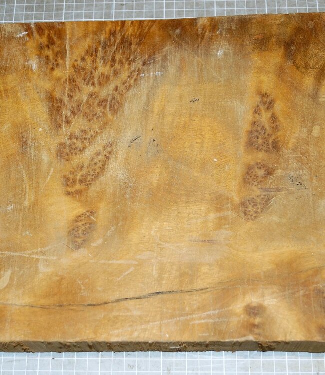 Golden Madrone Maser ca. 411 x 290 x 46 mm, 4,6 kg