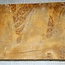 Golden Madrone burl approx. 411 x 290 x 46 mm, 4,6 kg
