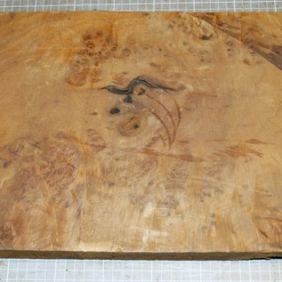 Golden Madrone burl approx. 410 x 270 x 45 mm, 3,7 kg