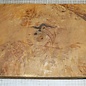 Golden Madrone burl approx. 410 x 270 x 45 mm, 3,7 kg