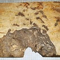 Golden Madrone Maser ca. 420 x 300 x 48 mm, 3,8 kg