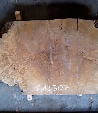 Laurel Burl, table top, approx. 1400 x 900 x 65 mm, 12307