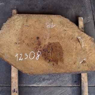 Laurel Burl, table top, approx. 1100 x 690 x 65 mm, 12308