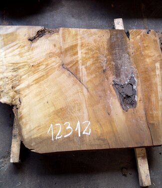 Laurel Burl, table top, approx. 1250 x 890 x 65 mm, 12312