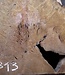 Laurel Burl, table top, approx. 1170 x 780 x 65 mm, 12313
