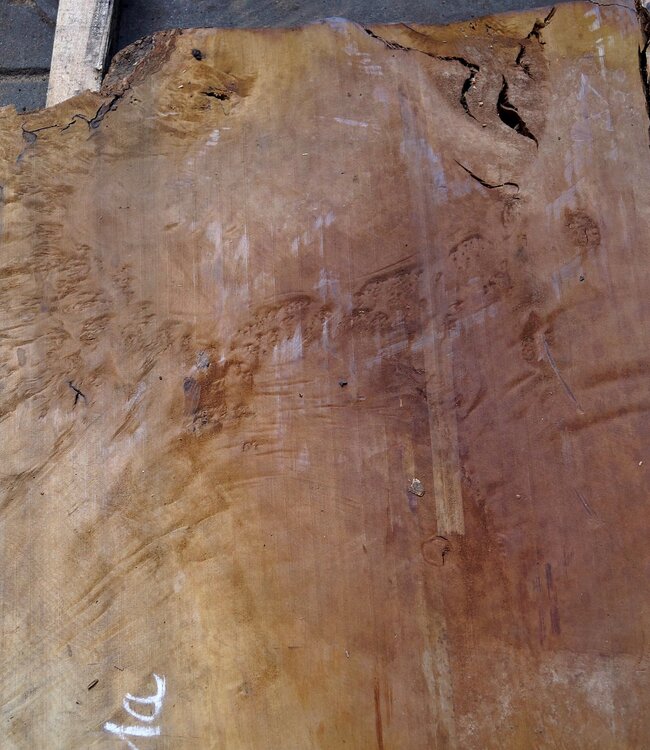 Laurel Burl, table top, approx. 1420 x 940 x 65 mm, 12317
