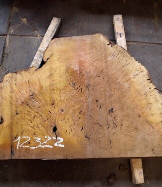 Laurel Maser, Tischplatte, ca. 1300 x 785 x 65 mm, 12322