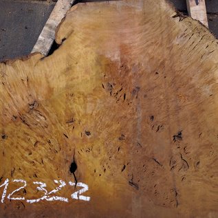 Laurel Burl, table top, approx. 1300 x 785 x 65 mm, 12322