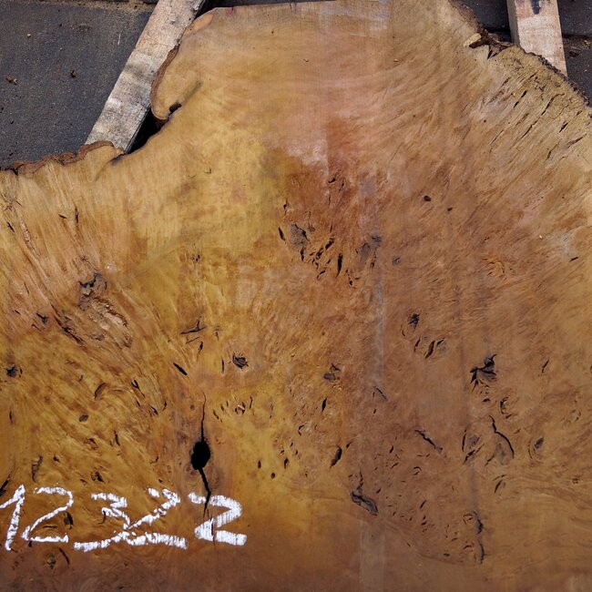 Laurel Maser, Tischplatte, ca. 1300 x 785 x 65 mm, 12322