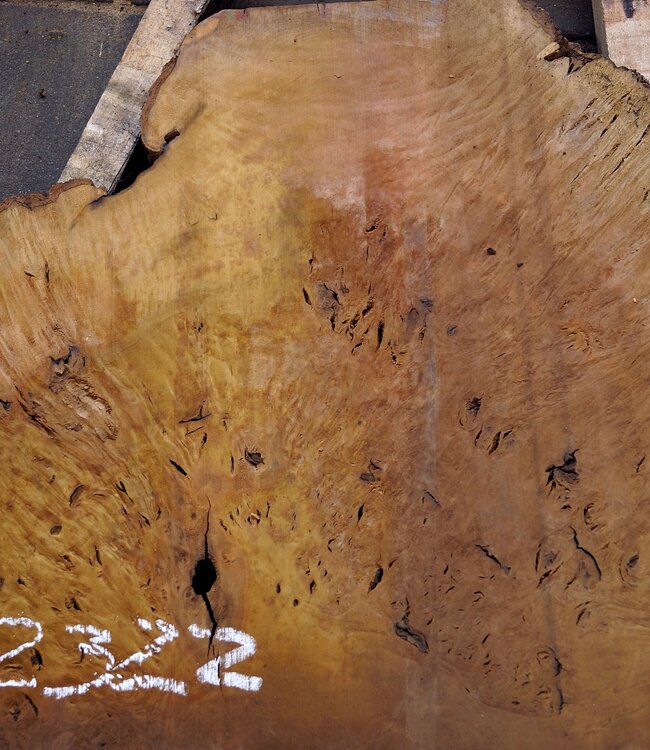 Laurel Maser, Tischplatte, ca. 1300 x 785 x 65 mm, 12322