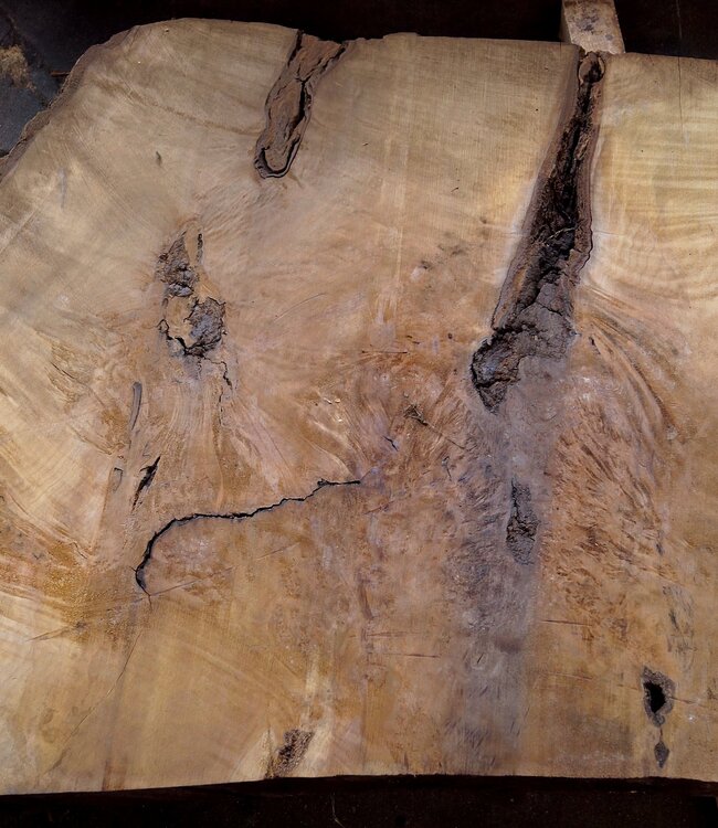 Laurel Burl, table top, approx. 1290 x 840 x 65 mm, 12323