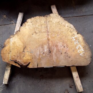 Laurel Burl, table top, approx. 1040 x 670 x 65 mm, 12324