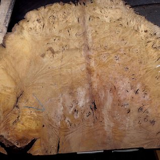 Laurel Burl, table top, approx. 1040 x 670 x 65 mm, 12324