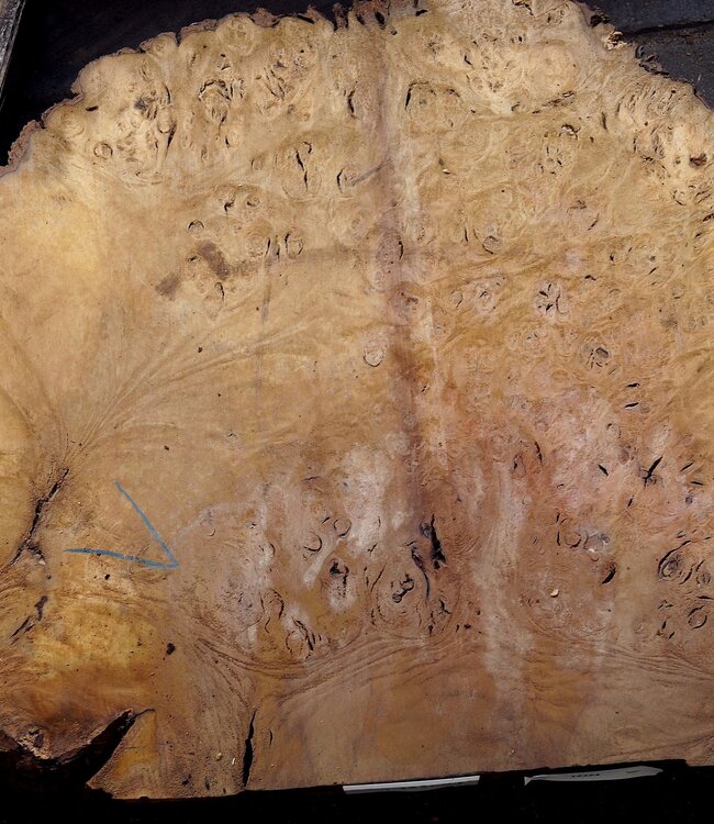 Laurel Maser, Tischplatte, ca. 1040 x 670 x 65 mm, 12324