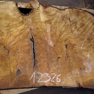 Laurel Burl, table top, approx. 1320 x 780 x 65 mm, 12326