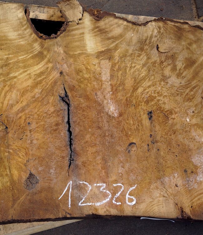 Laurel Burl, table top, approx. 1320 x 780 x 65 mm, 12326