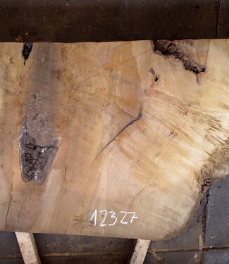 Laurel Burl, table top, approx. 1200 x 820 x 65 mm, 12327