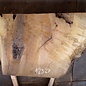 Laurel Burl, table top, approx. 1200 x 820 x 65 mm, 12327