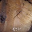 Laurel Burl, table top, approx. 1200 x 820 x 65 mm, 12327