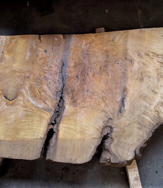 Laurel Burl, table top, approx. 1320 x 800 x 65 mm, 12328