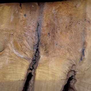 Laurel Burl, table top, approx. 1320 x 800 x 65 mm, 12328