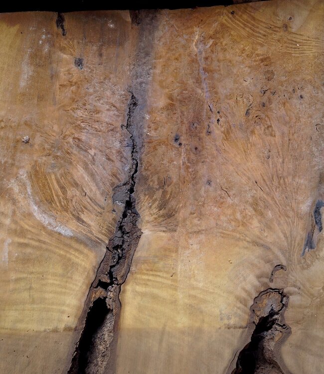 Laurel Burl, table top, approx. 1320 x 800 x 65 mm, 12328