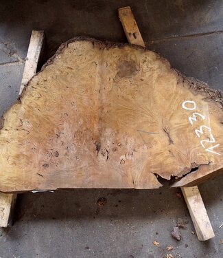 Laurel Burl, table top, approx. 1050 x 670 x 65 mm, 12330