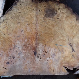 Laurel Burl, table top, approx. 1050 x 670 x 65 mm, 12330