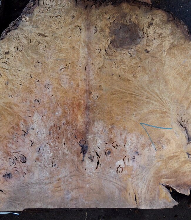 Laurel Burl, table top, approx. 1050 x 670 x 65 mm, 12330