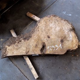 Laurel Burl, table top, approx. 1160 x 690 x 65 mm, 12331