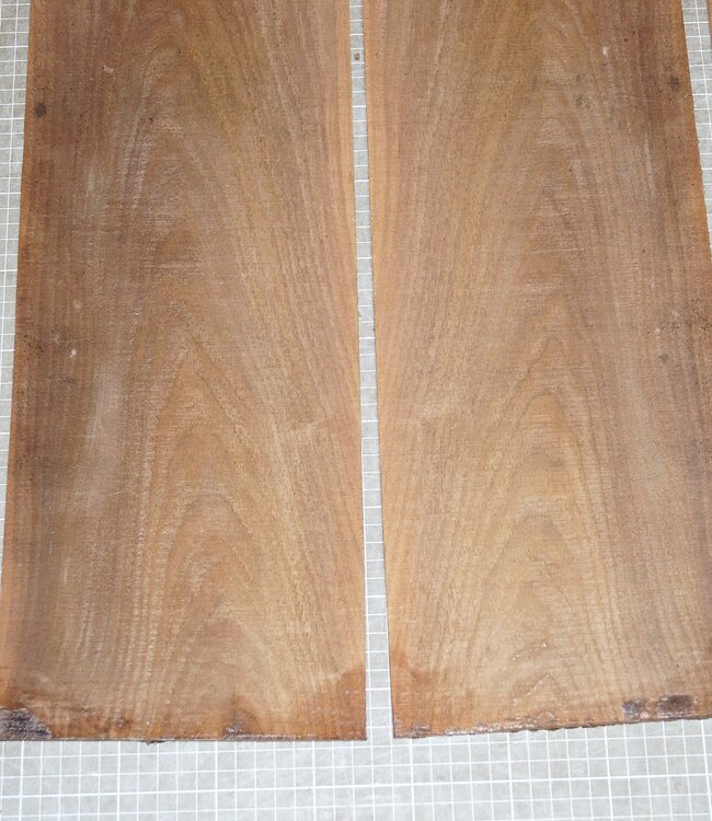 Black Walnut, Set back/side, mirror cut