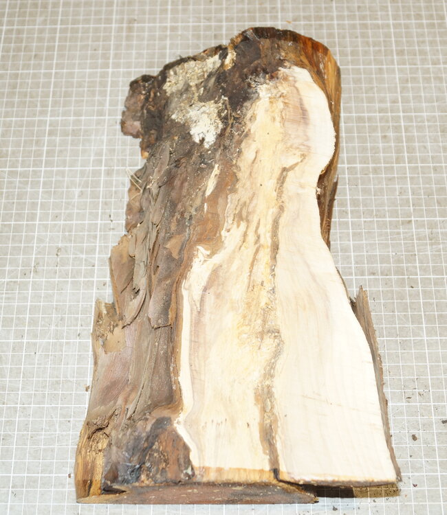 Eibe ca. 350 x 150 x 85 mm, 2,6 kg