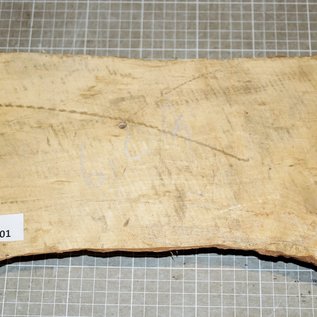 Birch, approx. 320 x 150 x 40 mm, 1,4 kg