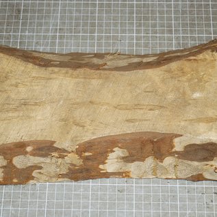 Birch, approx. 320 x 150 x 40 mm, 1,4 kg