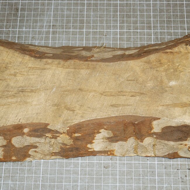 Birch, approx. 320 x 150 x 40 mm, 1,4 kg