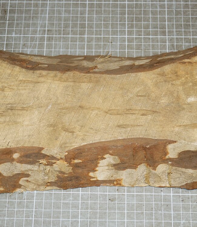 Birke schlicht, ca. 320 x 150 x 40 mm, 1,4 kg